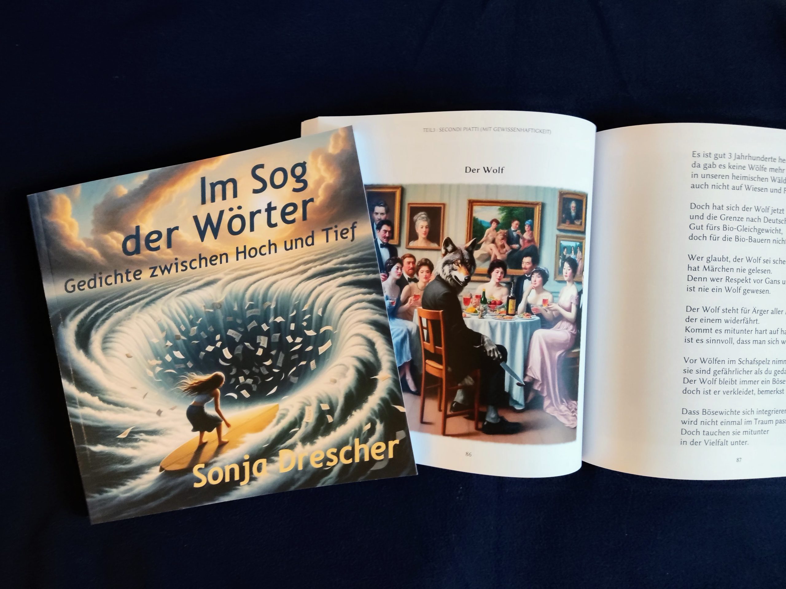 Im Sog der Wörter: Gedichte zwischen Hoch und Tief (Prachtausgabe)